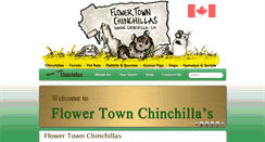 Desktop Screenshot of chinchilla.ca