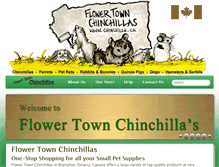 Tablet Screenshot of chinchilla.ca